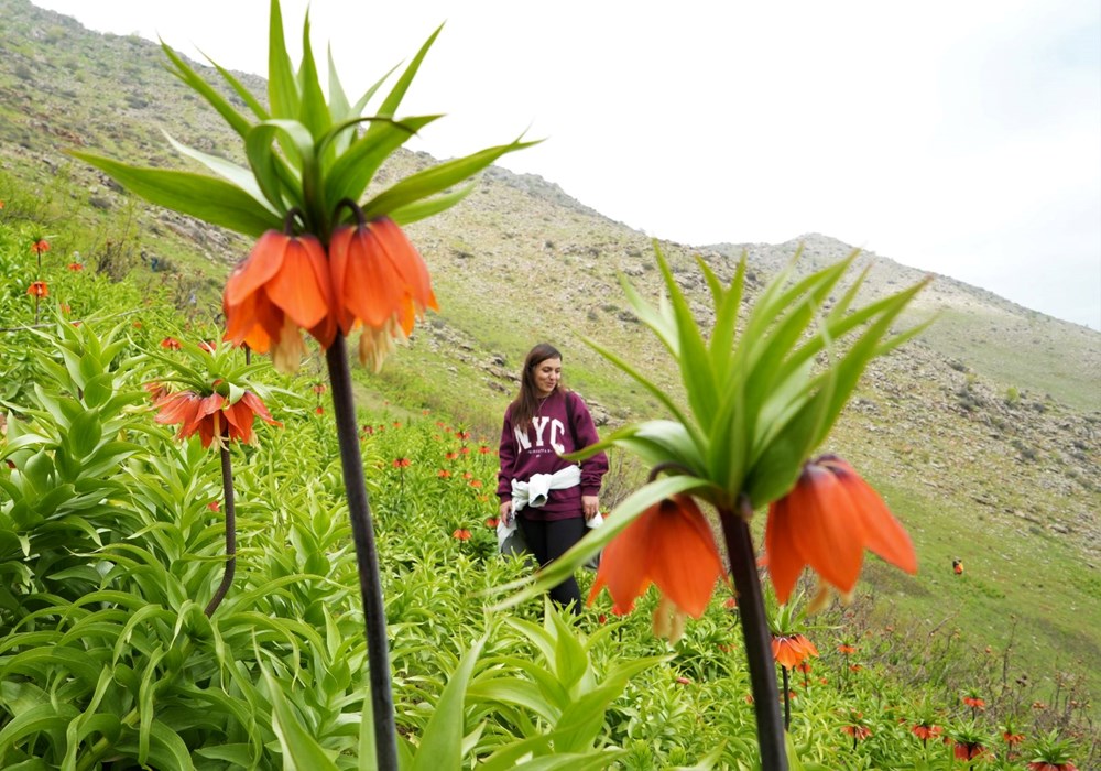 500 kilometre yol geldiler lakin dokunamadılar: Yalnızca 20 gün canlı kalıyor 74 nMPRCsg2jUS8hAp8hC5GAg