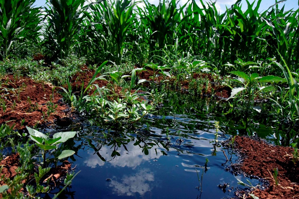 Şanlıurfa'da boru hattı delindi, ham petrol metrelerce yükseğe fışkırdı - 9