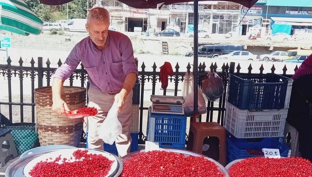 Dere yataklarından toplanan vitamin deposu: Pazarda gören alıyor