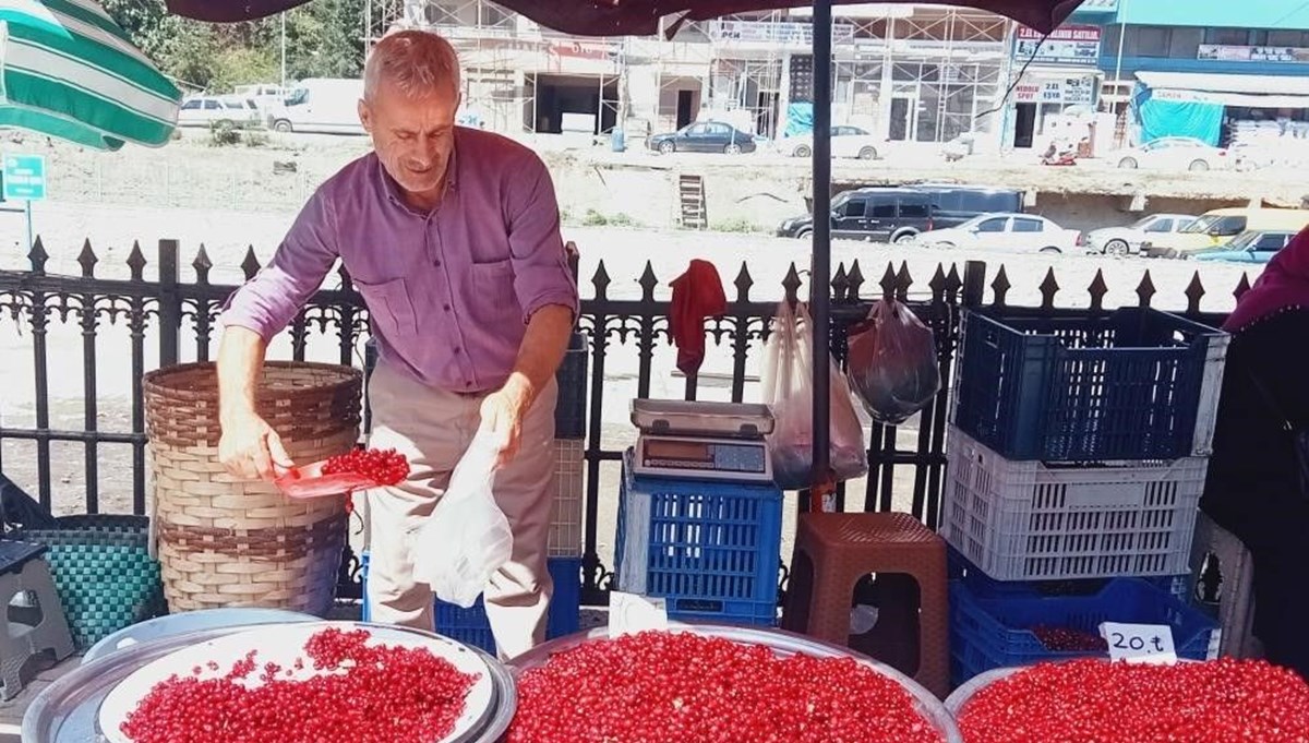 Dere yataklarından toplanan vitamin deposu: Pazarda gören alıyor Dere yataklarından toplanan vitamin deposu: Pazarda gören alıyor