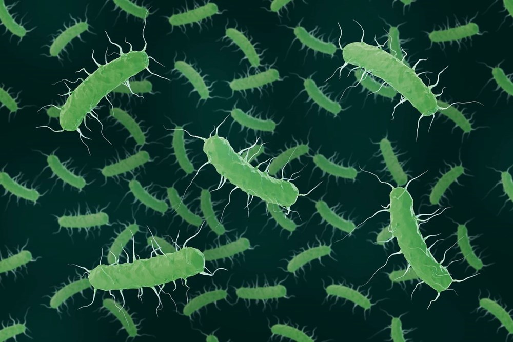 151 kişinin vefatına neden olan salgın tasa yarattı: Yetkililer 3 belirtiye karşı uyarıyor 79 nOzE KsVekudlluEaBFmOw