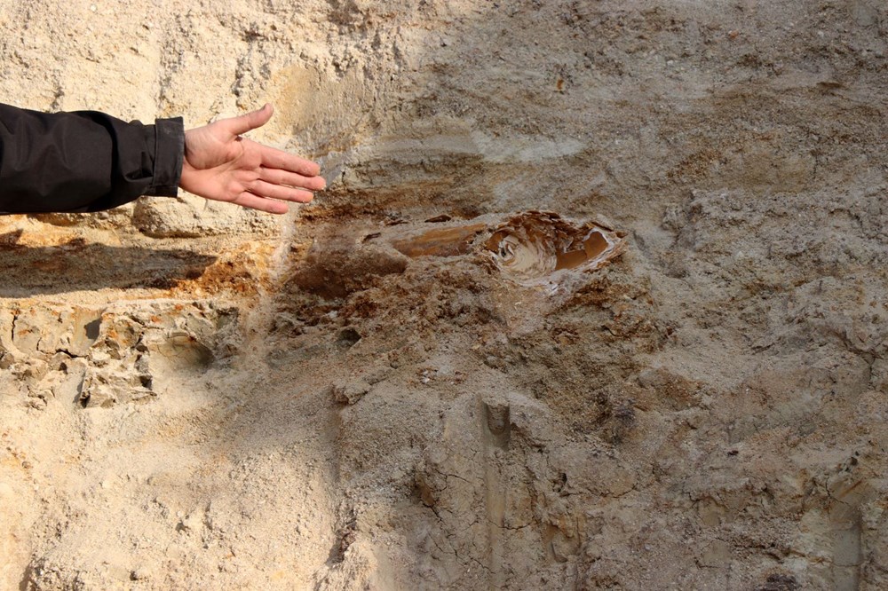 Edirne'de 8 milyon yıllık mamut fosilleri bulundu - 2