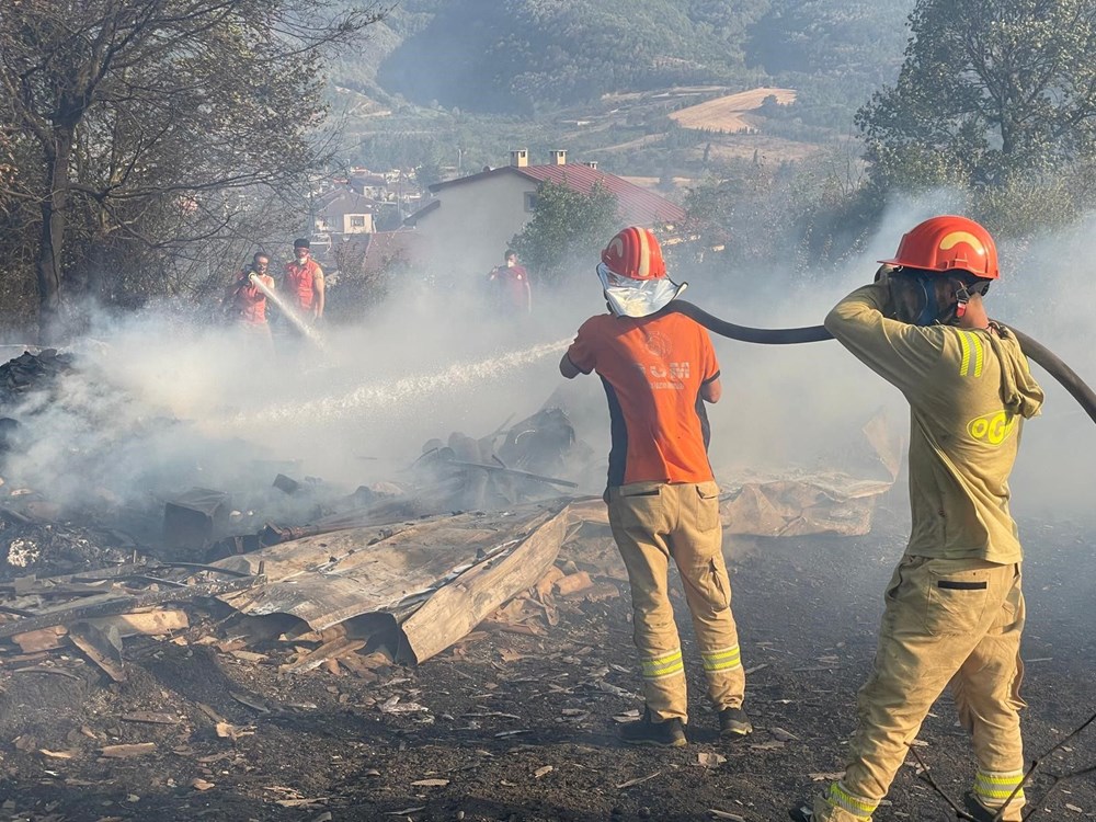 Kocaeli, Karaman, Afyonkarahisar ve Diyarbakır'da orman yangını - 5