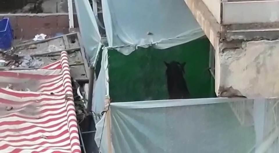 Bursa'da tepki çeken görüntü: Evin balkonunu haraya çevirmişler - 1