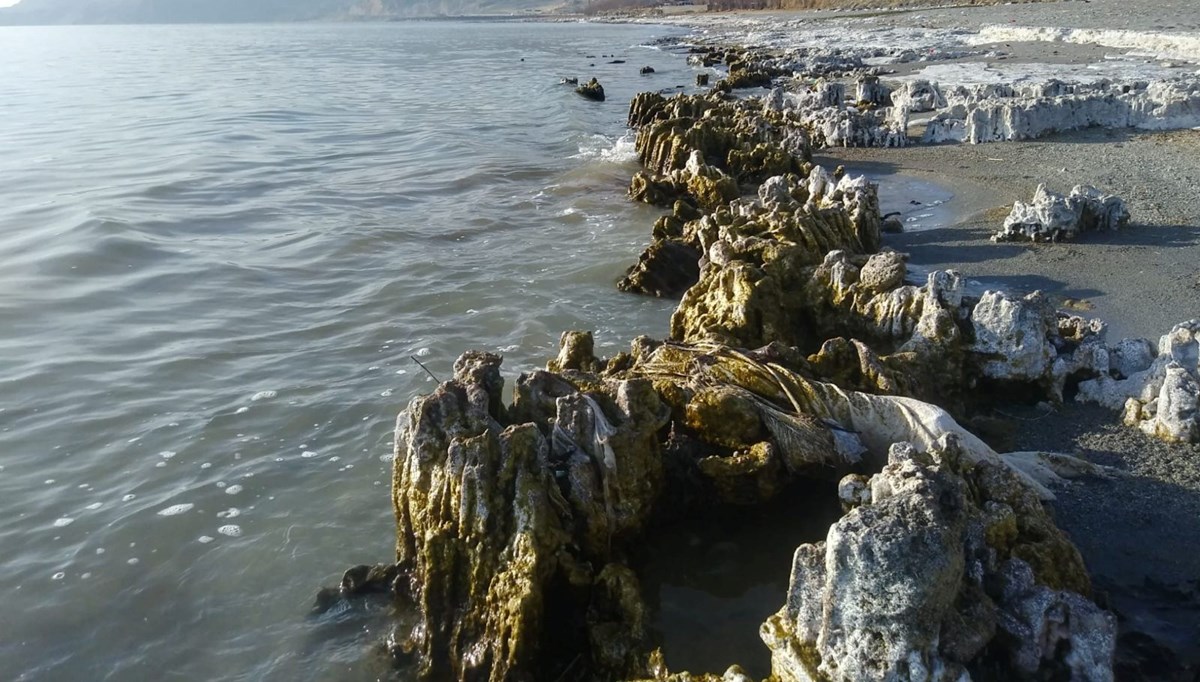 Van Gölü'nde sular çekilince mikrobiyalitler ortaya çıktı