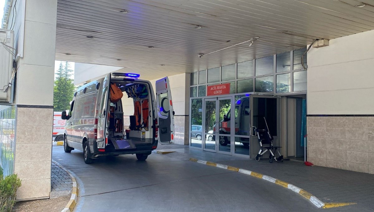 Bolu'da deli dana paniği Bolu'da deli dana paniği