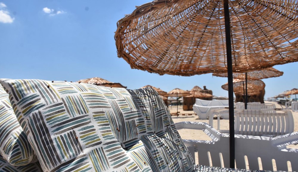 Saros Körfezi'nde uğur böceği istilası - 15