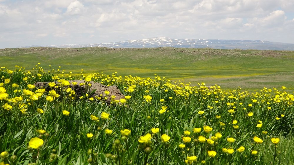 Muş'ta Hamurpet Gölleri görenleri doğasıyla mest ediyor - 14