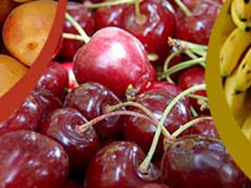 turkiye nin meyve haritasi magazin