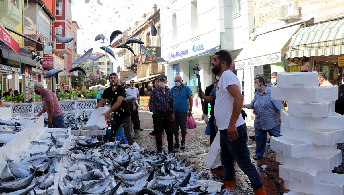 Tezgahlarda palamut şöleni: Bir daha bu paraya balık düşmez