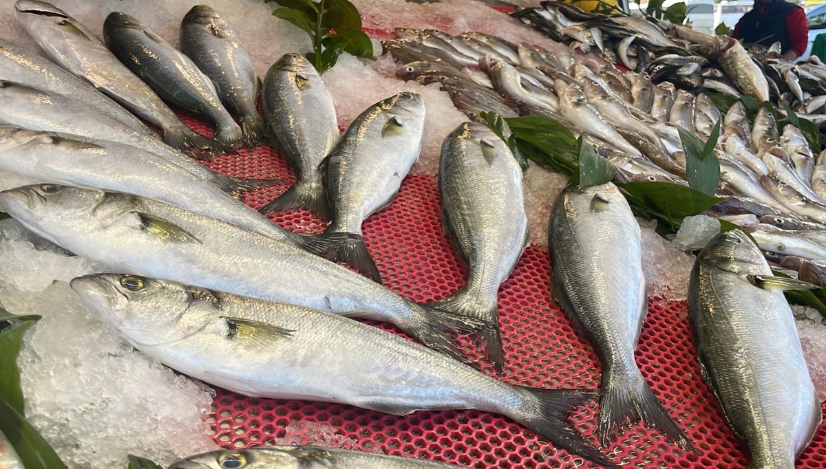 Palamut azaldı, hamsi bollaştı