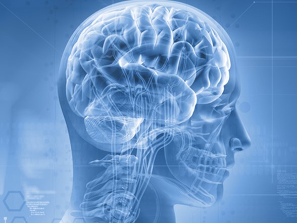 beyin odemi her yas icin risk deniz baykal yogun bakimda