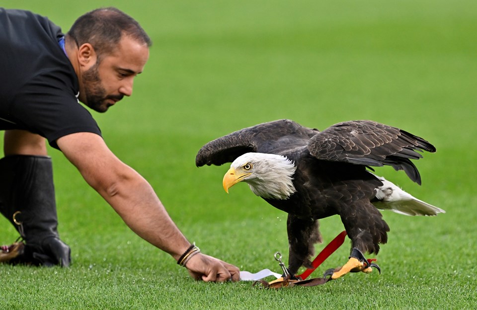 Fenerbahçe yoluna Avrupa Ligi'nde devam edecek: Benfica'nın galibiyet golü Kerem'den! - 2