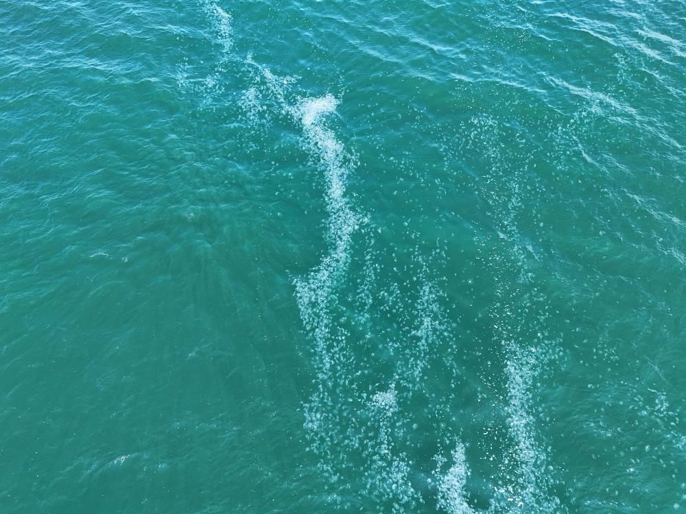 تركيا اليوم صورة مثيرة للقلق قبالة ساحل إسطنبول.. يمتد من سراي بورنو إلى بكركوي صورة مرعبة قبالة سواحل إسطنبول: تمتد من سراي بورنو إلى بكركوي - 6