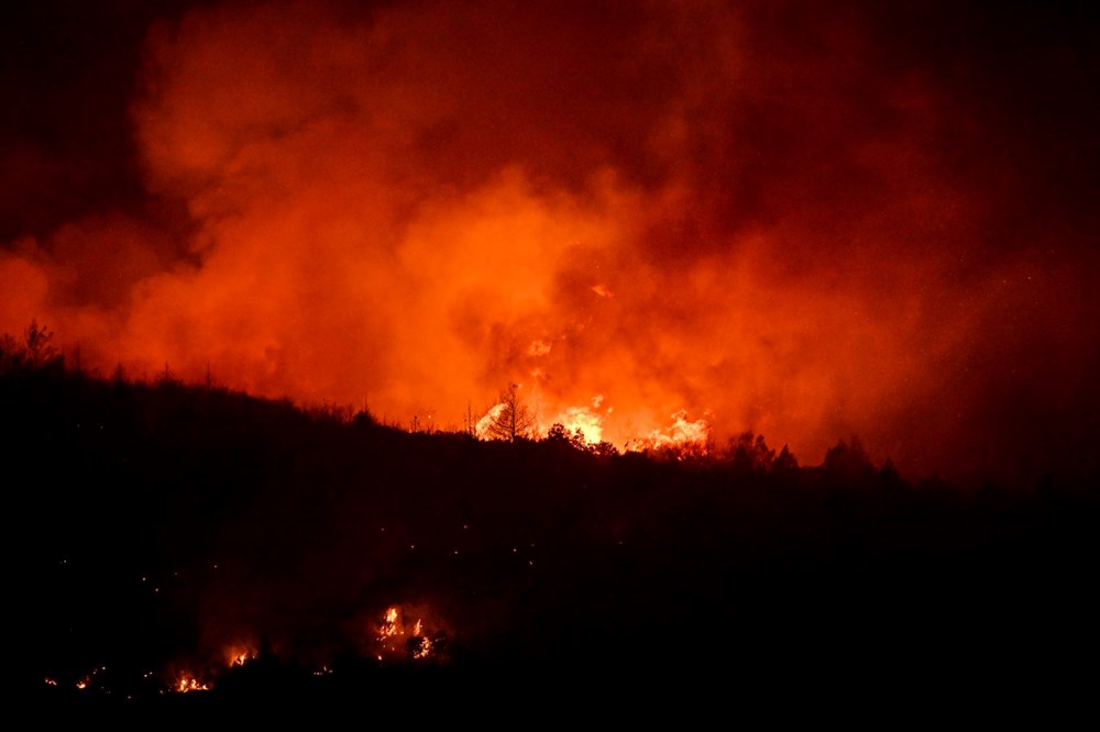 Antalya, İzmir ve Çanakkale'de orman yangınları - 7