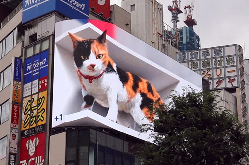 Tokyo's new guest 3D cat: He watches the city and greets the public - 2