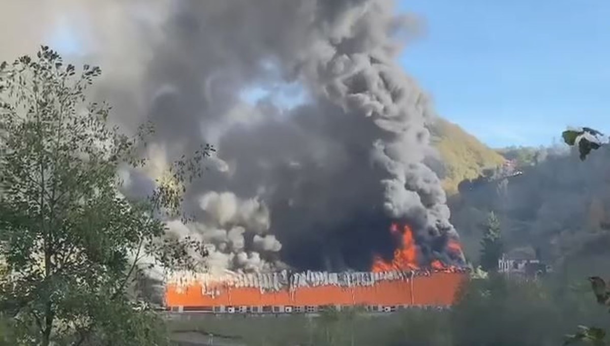 Giresun'da balık fabrikasında yangın Giresun'da balık fabrikasında yangın