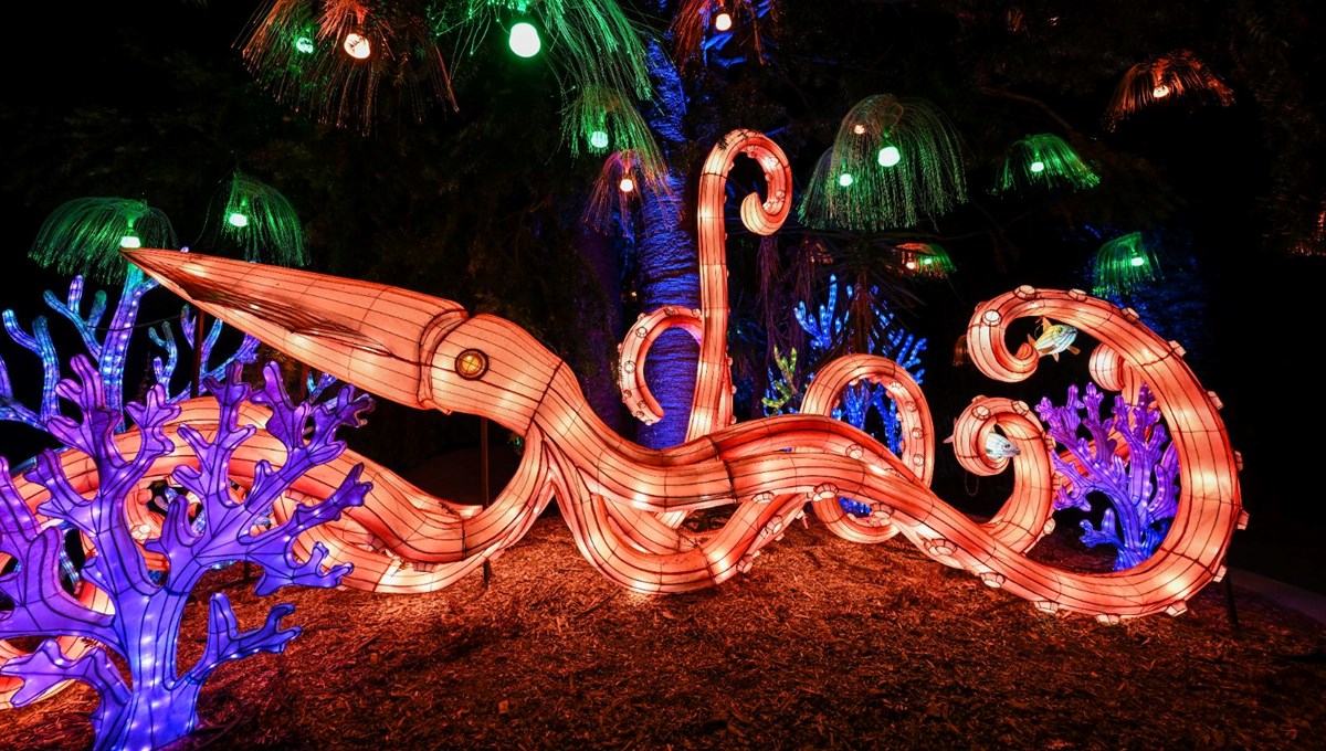 Oakland Hayvanat Bahçesi'nde Glowfari Işık Festivali Oakland Hayvanat Bahçesi'nde Glowfari Işık Festivali
