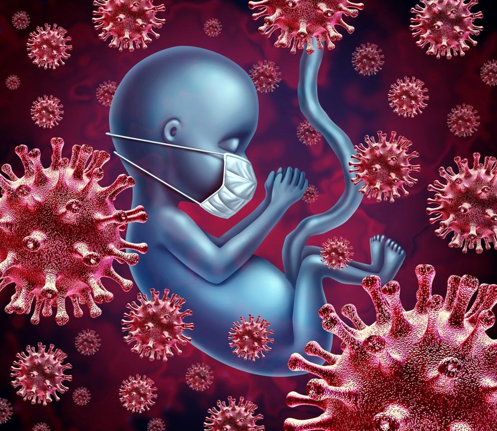 Covid-19 hamilelikte ölüm riskini 7 kat artıyor: Bilim insanları uyardı - 6