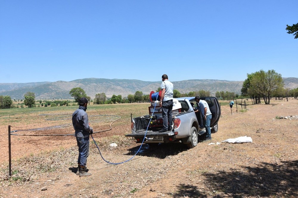 Bitlis'te kuraklık: Çekirge istilasıyla sonuçlandı - 2