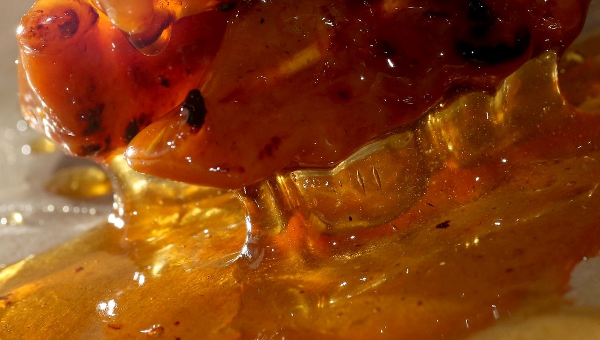 Bağırsak kanseri artıyor: Suçlusu bu gıdalar olabilir