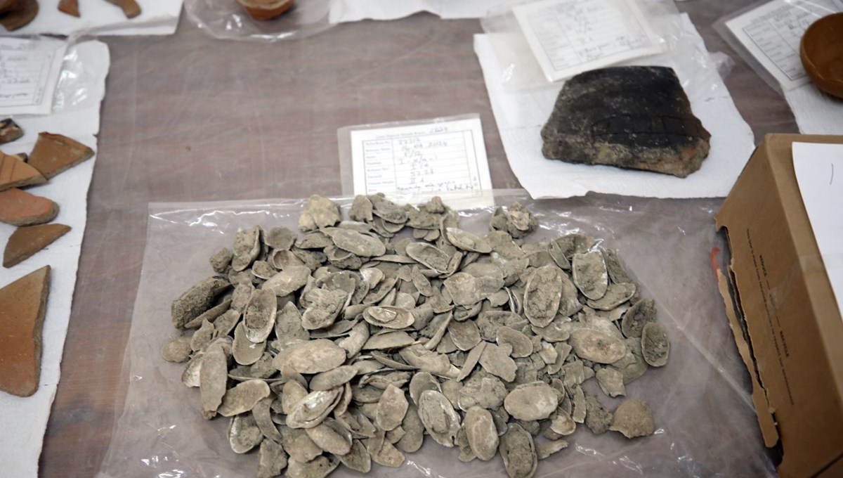 Aydın'daki Tepecik Höyüğü'nde 3 bin 500 yıllık midye kabukları bulundu