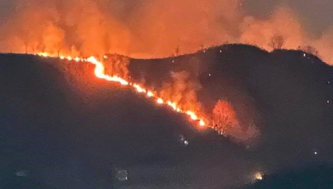Trabzon'da orman yangını: Ekipler bölgede