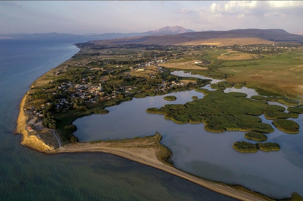 Van'ın kuş cenneti Erçek Gölü, yaban kazlarıyla şenlendi - 8