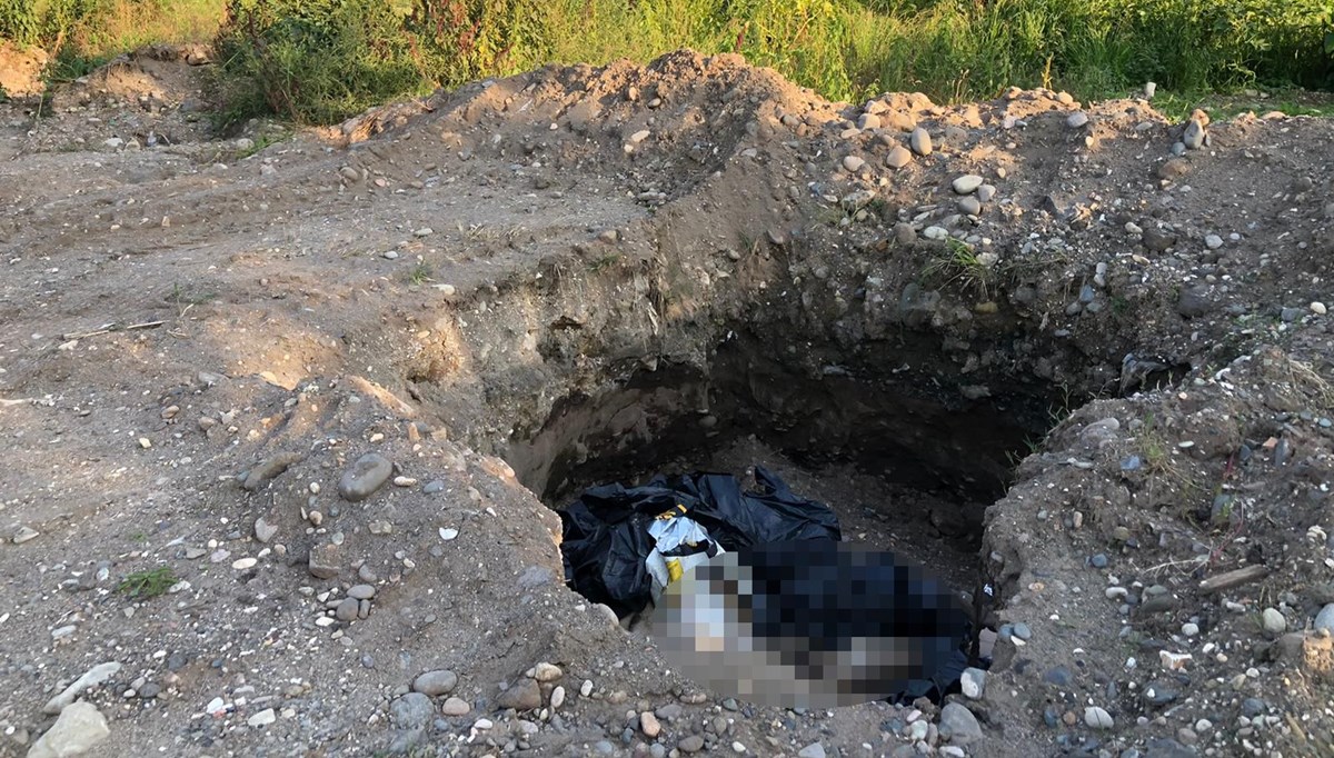 Giresun'da çukurda 10 ölü köpek bulundu