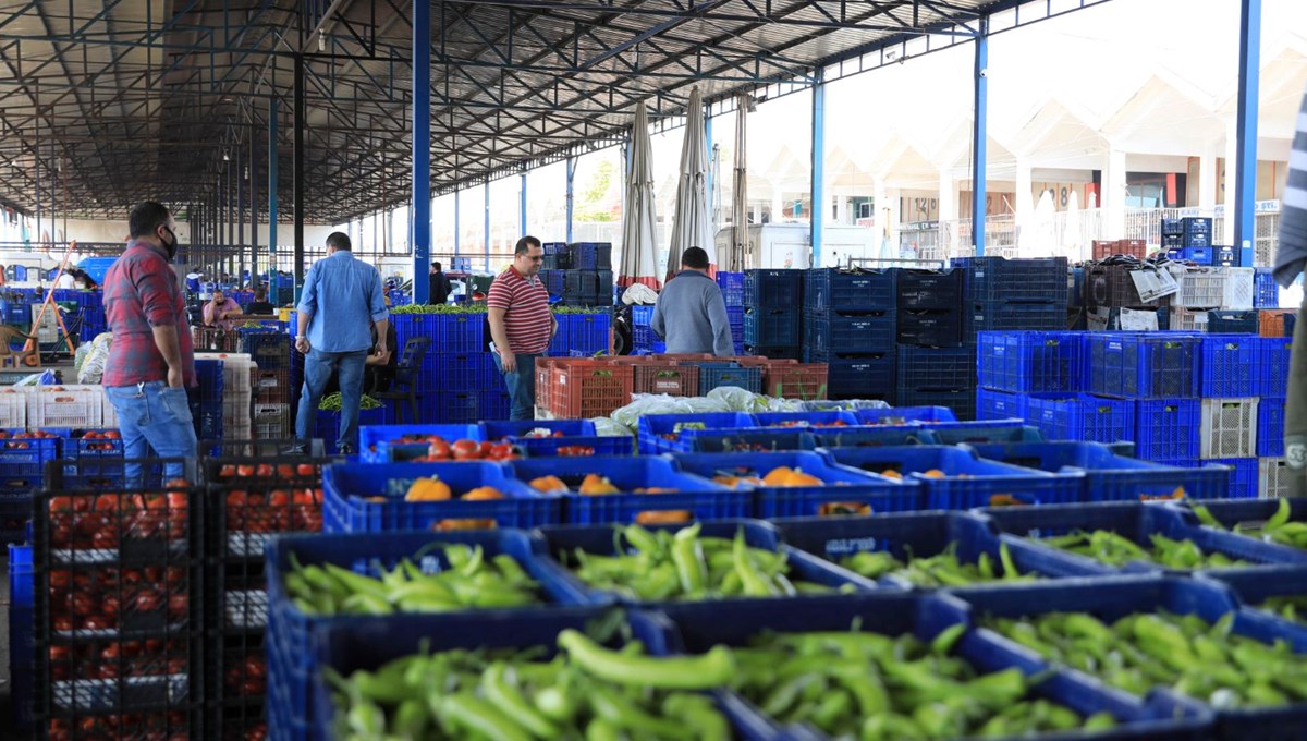 Kara kış seraları vurdu: Verim azaldı fiyat arttı!