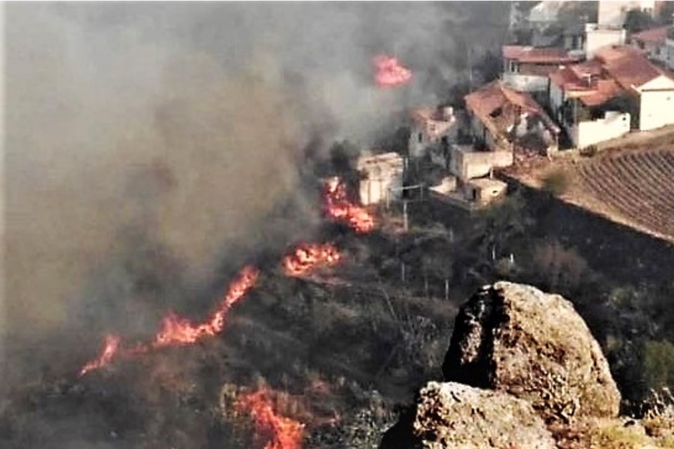 Kanarya Adaları'nda yangın 9 bin kişiyi yerinden etti - 1