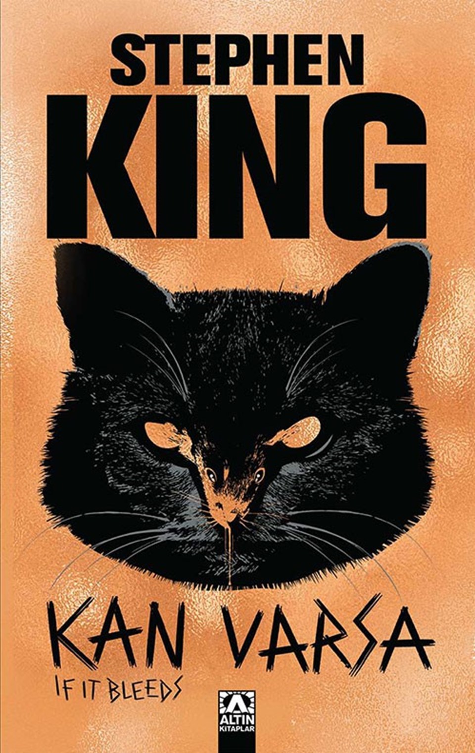 Stephen King'den yeni kitap: Kan Varsa - 1
