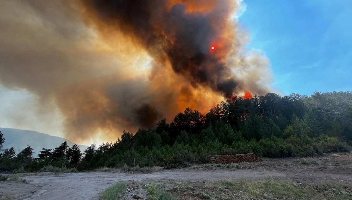 Balıkesir'de orman yangını