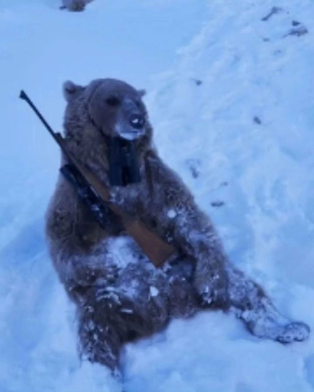 Kaçak avcılara 5 milyon TL para cezası - 1