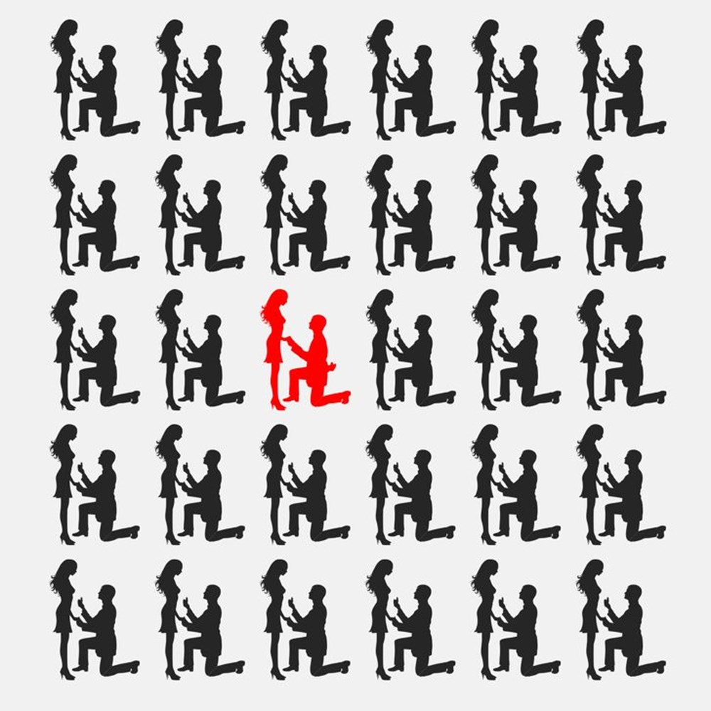 Bu görsel size kim olduğunuzu söylüyor: Resimde ilk önce hangi hayvanı gördünüz? - 113