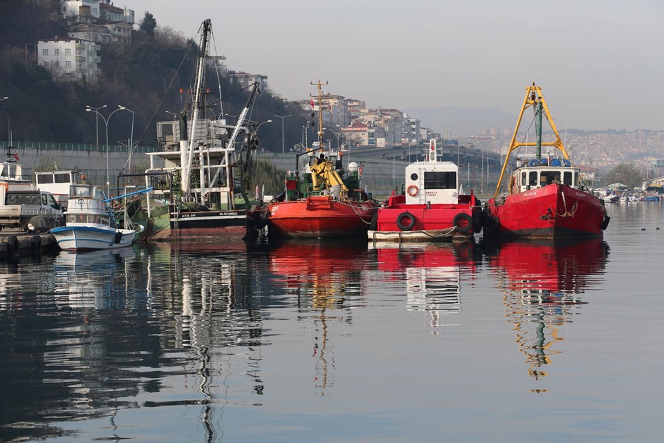 Karadeniz'de bir ilk: Balıklar tersine göçe başladı - 2
