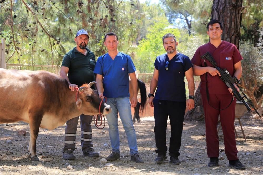 Kurban Bayramı yaklaştı, kurban yakalama timi tatbikat yaptı - 7