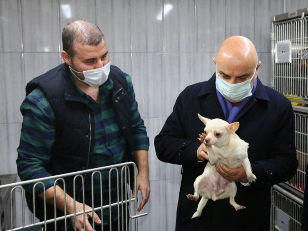 ankara da el konulan 77 kopegi