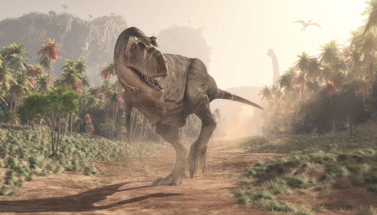 Araştırmalara göre T-rex sanıldığı kadar zeki değildi