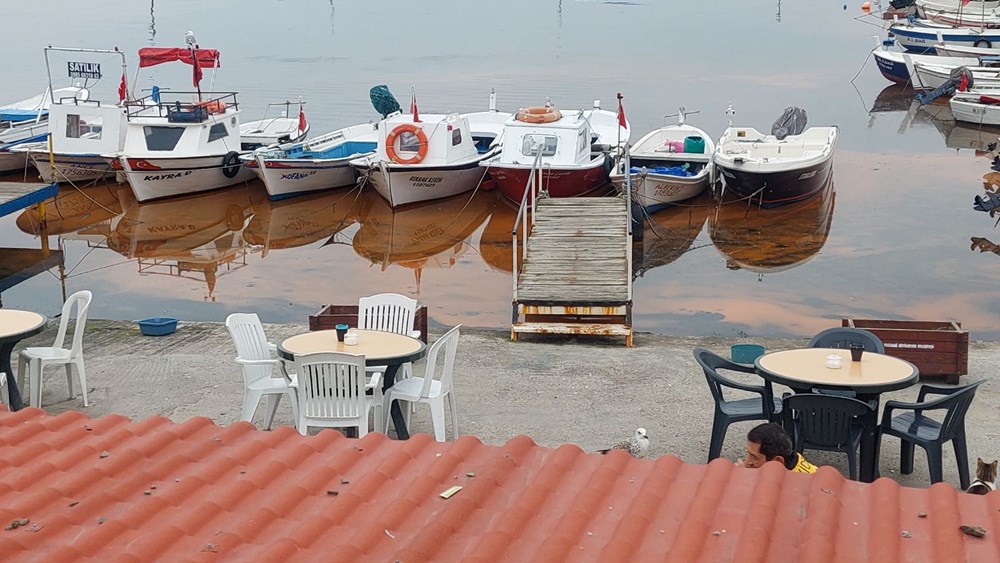 Marmara'da korkutan görüntüler: Rengi değişiyor, denizanası istilası yayılıyor - 1
