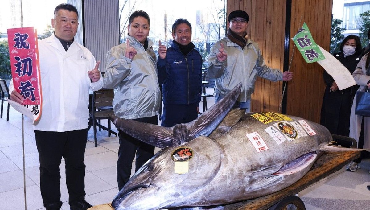 Japonya'da yeni yıl mezatı: 276 kiloluk orkinos 1,3 milyon dolara satıldı Japonya'da yeni yıl mezatı: 276 kiloluk orkinos 1,3 milyon dolara satıldı