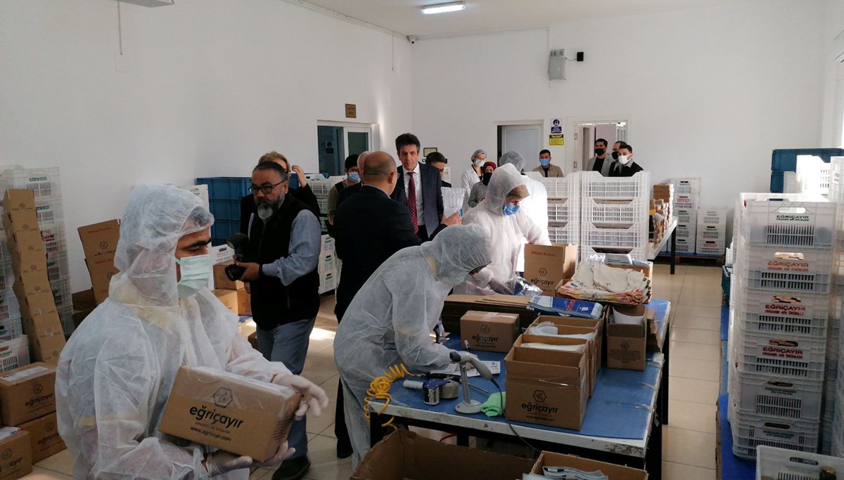 Mersin'den Hollanda'ya bal ihracatı