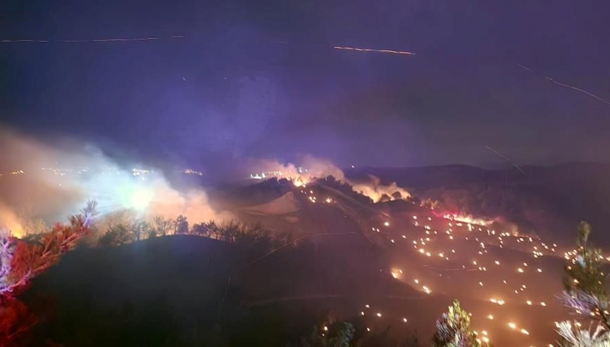 Adana'da orman yangını: Ekipler müdahale ediyor