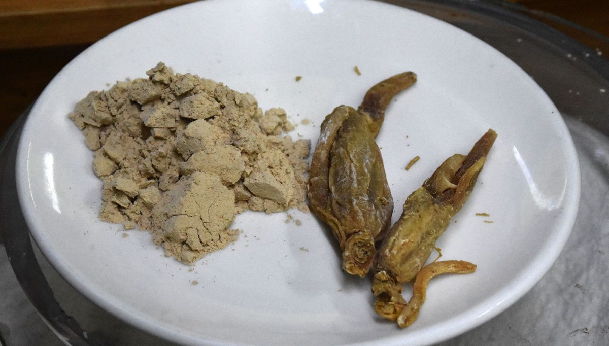 Bağışıklığı güçlendiren 'ginseng', kilosu 2 bin TL'den satılıyor