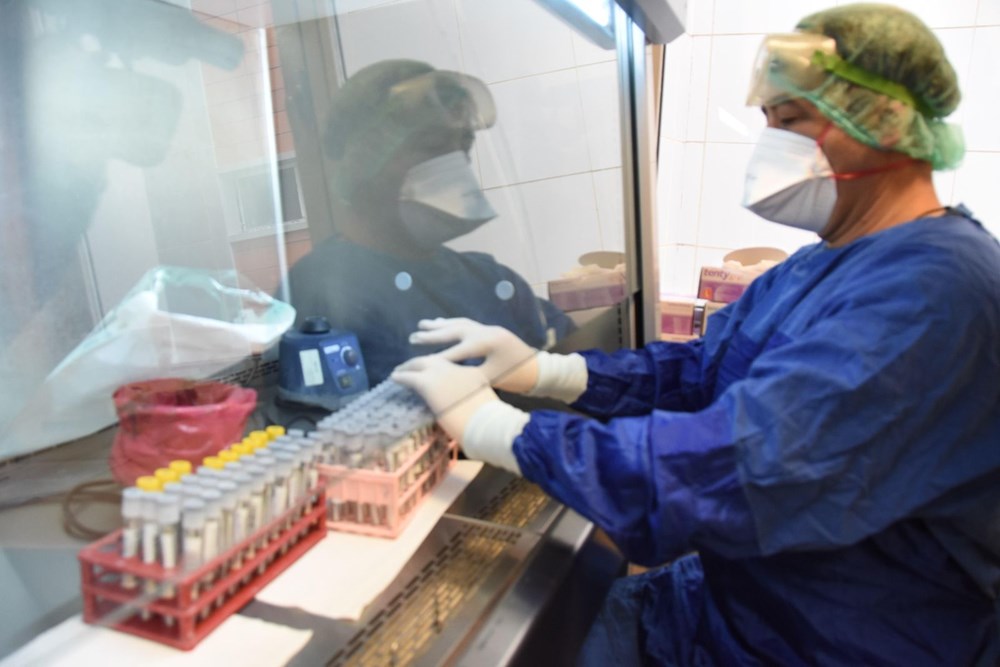 Mutated corona virus cases are detected in 40 minutes - 4