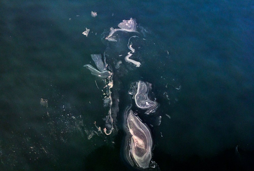 İstanbul’da müsilaj yeniden görüldü - 4