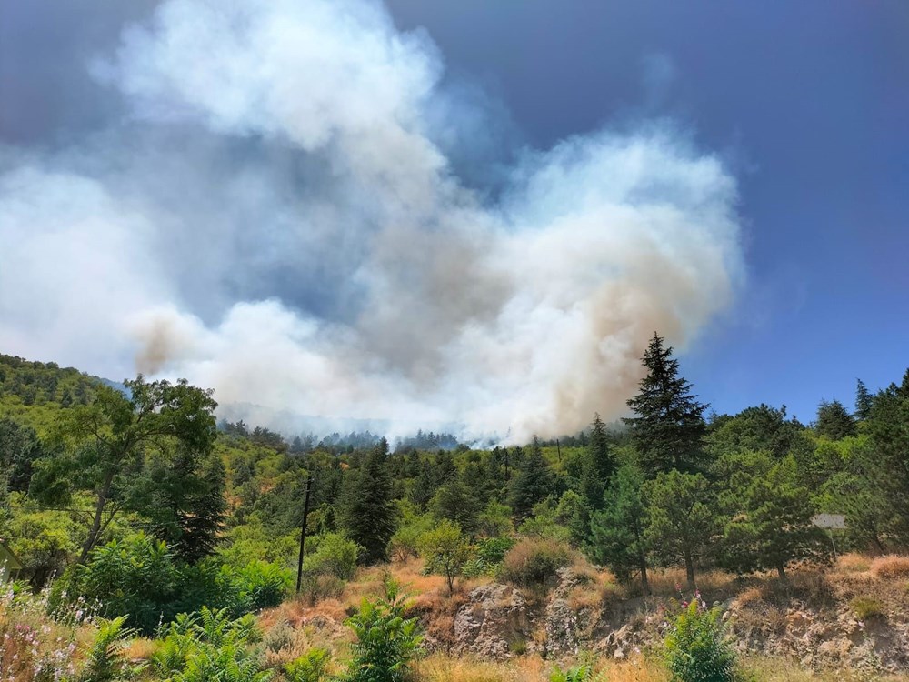 Afyonkarahisar, Kütahya ve İzmir'de orman yangını - 3