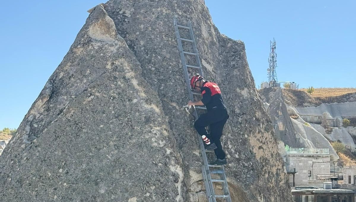 Peribacasında kedi kurtarma operasyonu