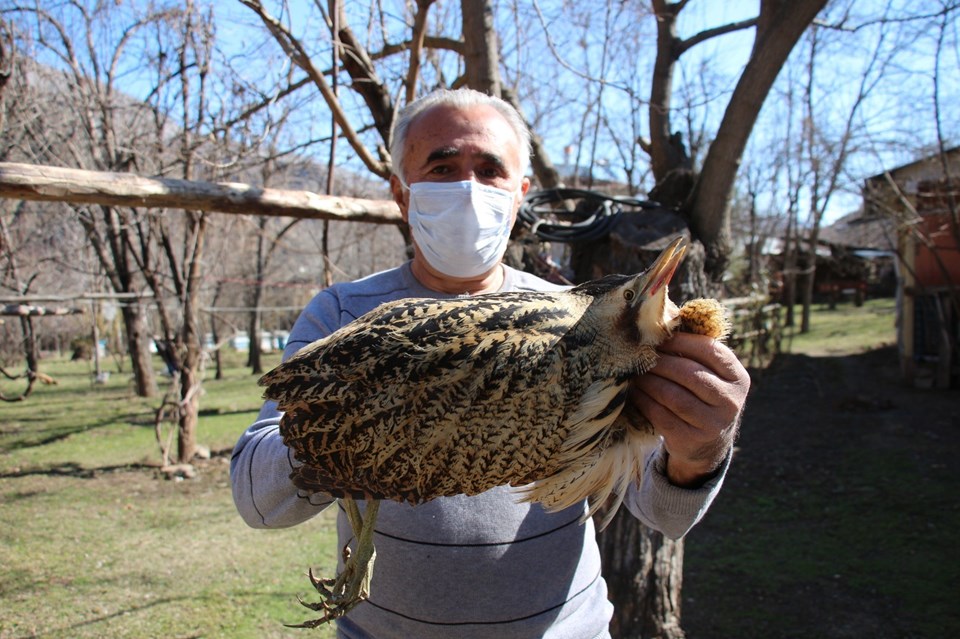 Nesli tükenmekte olan 'Balaban kuşu' Erzurum'da ortaya çıktı - 1