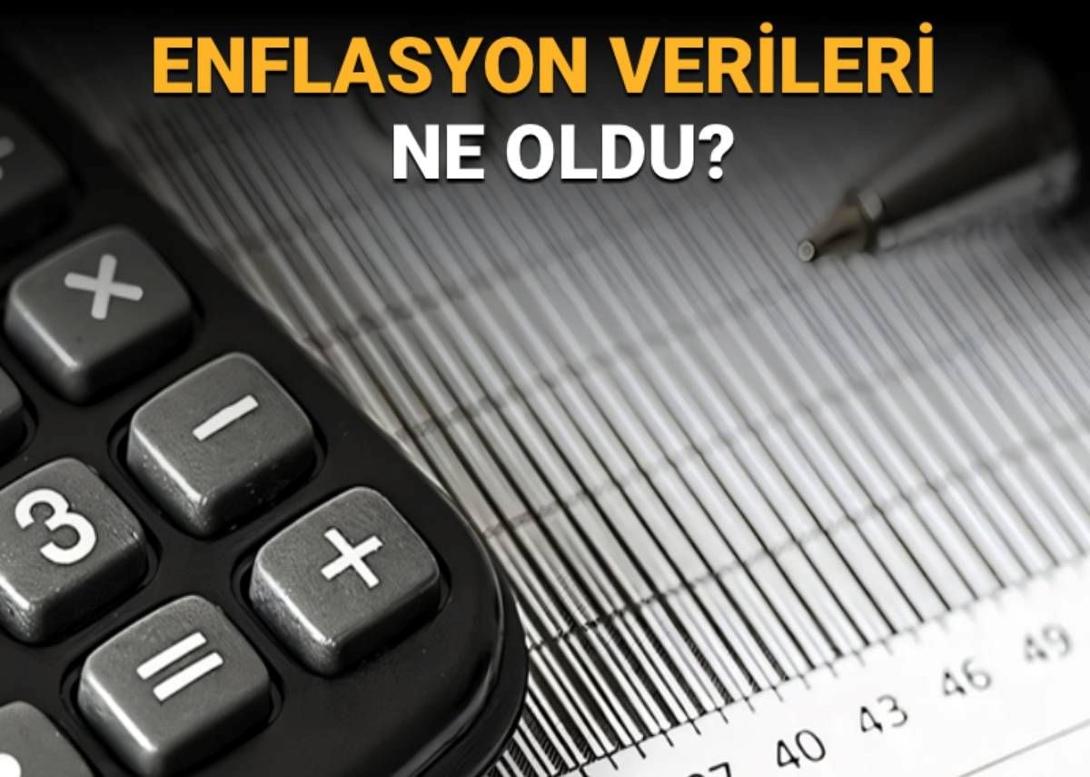 nqSiFRvVqki81iselegy8w.jpg